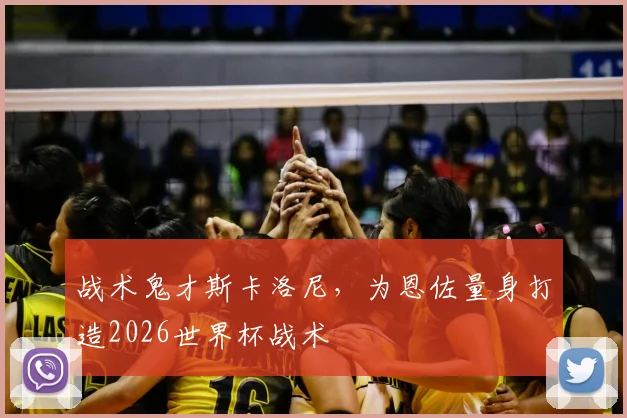 战术鬼才斯卡洛尼，为恩佐量身打造2026世界杯战术