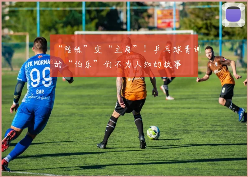 “陪练”变“主角”！乒乓球青训的“伯乐”们不为人知的故事