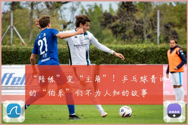 “陪练”变“主角”！乒乓球青训的“伯乐”们不为人知的故事